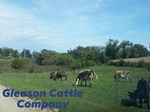 Gleason Cattle Company